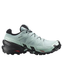 Salomon | Speedcross 6 GTX...