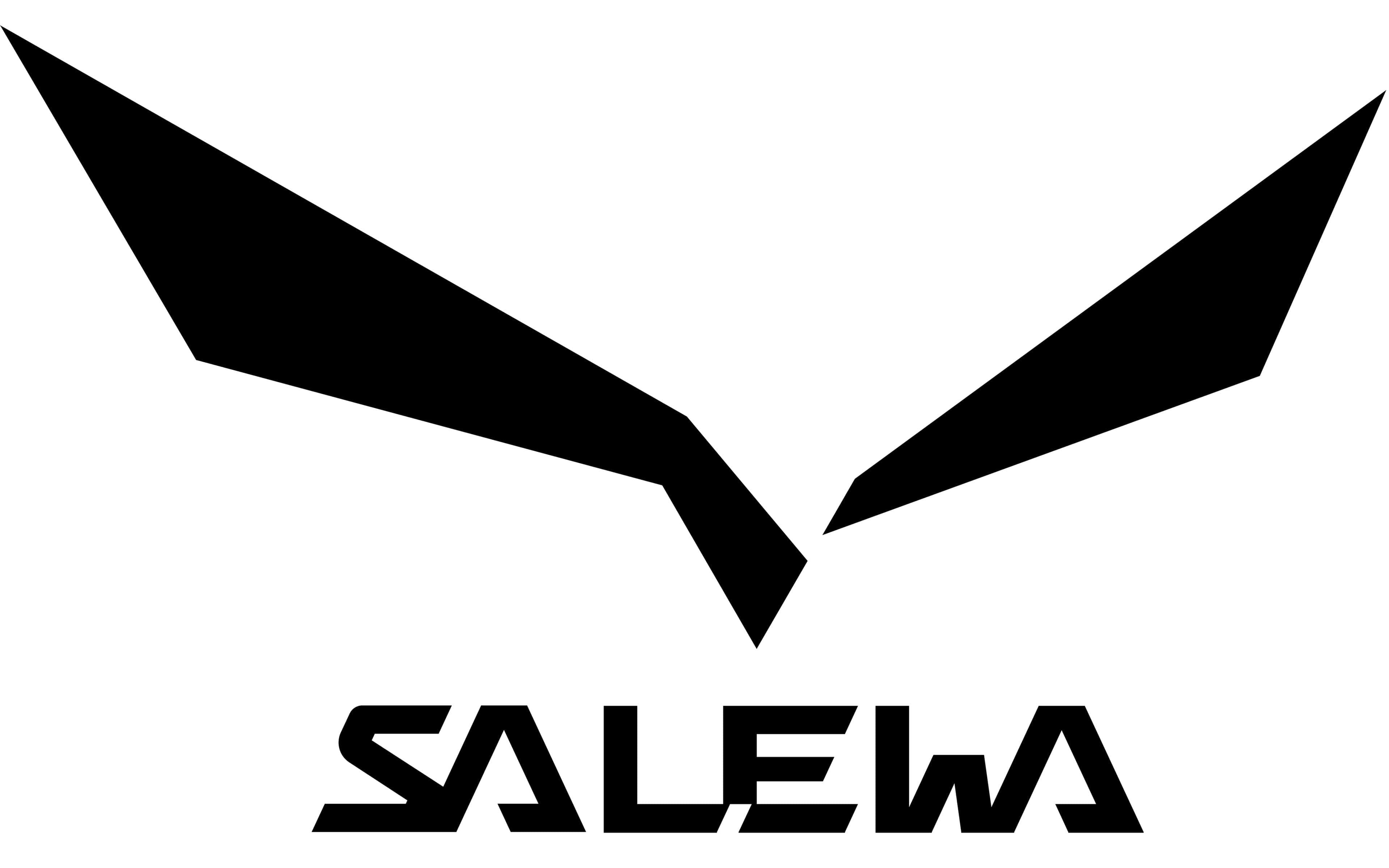 Salewa®